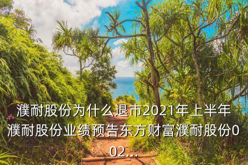 濮耐股份為什么退市2021年上半年濮耐股份業(yè)績預(yù)告東方財富濮耐股份002...