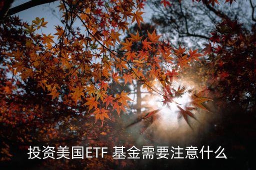 投資美國ETF 基金需要注意什么