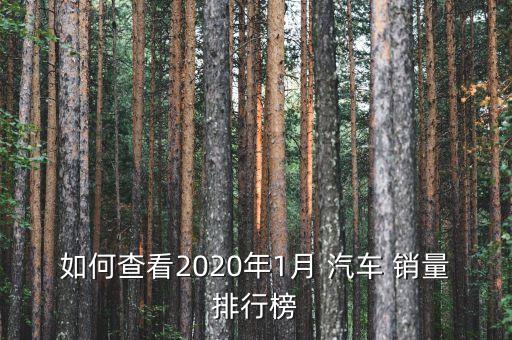 如何查看2020年1月 汽車(chē) 銷(xiāo)量排行榜