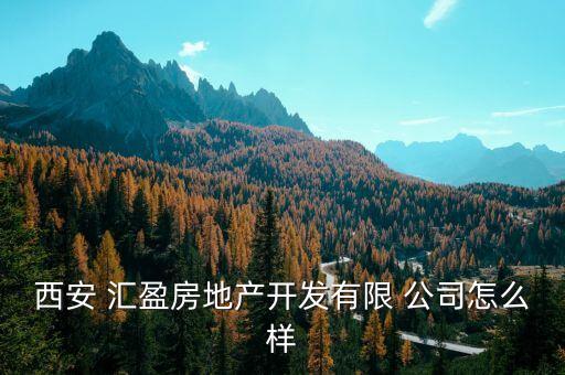 西安 匯盈房地產(chǎn)開發(fā)有限 公司怎么樣