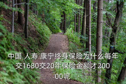 中國(guó) 人壽 康寧終身保險(xiǎn)為什么每年交1680交20年保險(xiǎn)金額才20000呢