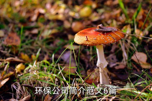 環(huán)保公司簡介范文6篇