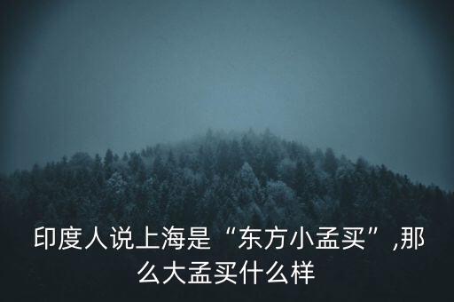  印度人說上海是“東方小孟買”,那么大孟買什么樣