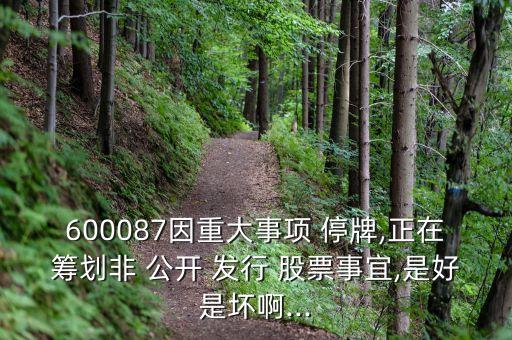 600087因重大事項(xiàng) 停牌,正在籌劃非 公開 發(fā)行 股票事宜,是好是壞啊...