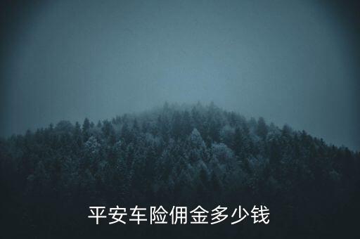 中國平安保險獎勵制度