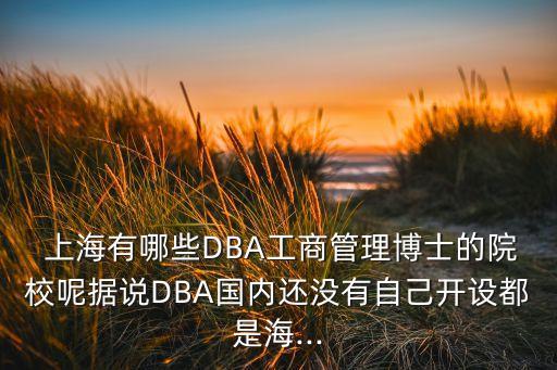  上海有哪些DBA工商管理博士的院校呢?fù)?jù)說(shuō)DBA國(guó)內(nèi)還沒(méi)有自己開(kāi)設(shè)都是海...