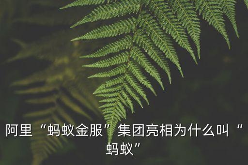 阿里“螞蟻金服”集團亮相為什么叫“螞蟻”