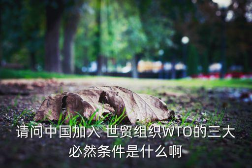 請問中國加入 世貿組織WTO的三大必然條件是什么啊