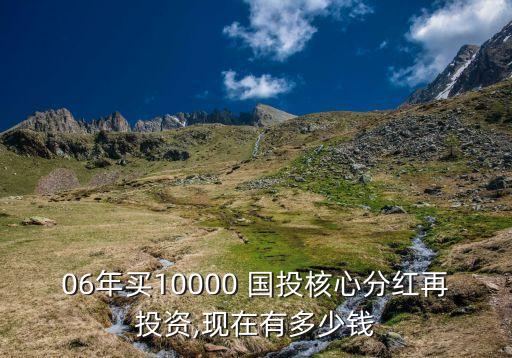 06年買10000 國(guó)投核心分紅再投資,現(xiàn)在有多少錢