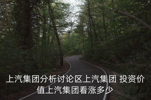 整車投資,一個整車廠投資多少錢