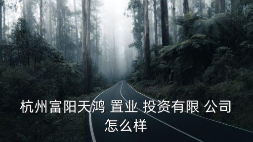 杭州富陽(yáng)天鴻 置業(yè) 投資有限 公司怎么樣