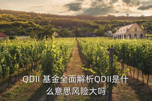 QDII 基金全面解析QDII是什么意思風險大嗎