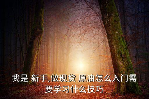 我是 新手,做現(xiàn)貨 原油怎么入門(mén)需要學(xué)習(xí)什么技巧