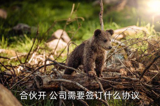 合伙開(kāi) 公司需要簽訂什么協(xié)議