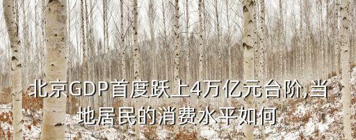 北京GDP首度躍上4萬億元臺(tái)階,當(dāng)?shù)鼐用竦南M(fèi)水平如何