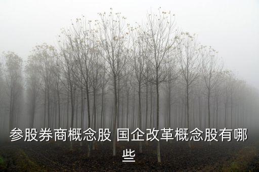 參股券商概念股 國企改革概念股有哪些