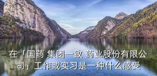 在「國藥 集團(tuán)一致 藥業(yè)股份有限公司」工作或?qū)嵙?xí)是一種什么感受