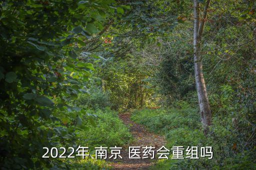 2022年 南京 醫(yī)藥會重組嗎