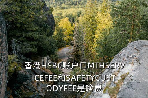  香港HSBC賬戶口MTHSERVICEFEE和SAFETYCUSTODYFEE是啥費(fèi)