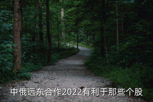 中俄遠(yuǎn)東合作2022有利于那些個股