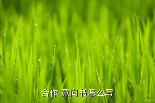 意向投資協(xié)議書,意向協(xié)議書范本通用