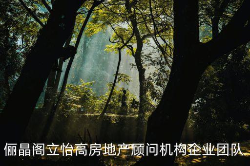 儷晶閣立怡高房地產(chǎn)顧問機構企業(yè)團隊