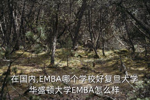 中國(guó)最好的emba