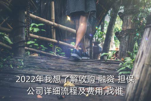 2022年我想了解收購 融資 擔(dān)保公司詳細流程及費用,找誰