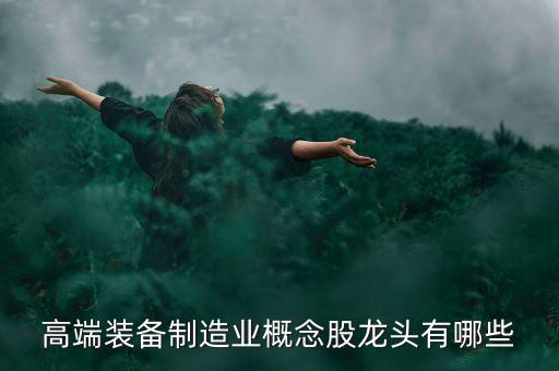 高端裝備制造業(yè)概念股龍頭有哪些