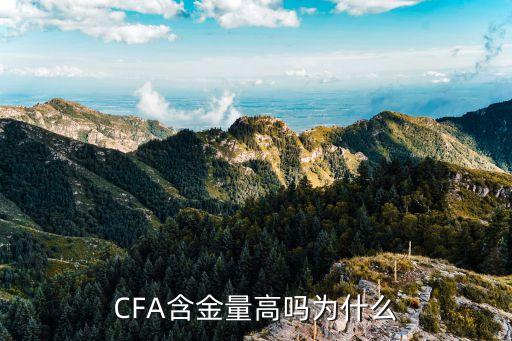 CFA含金量高嗎為什么