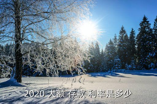 2020 大額 存款 利率是多少