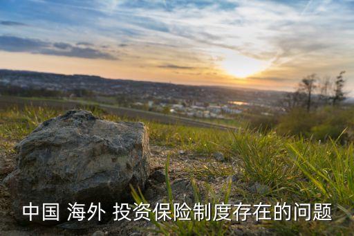 中國(guó) 海外 投資保險(xiǎn)制度存在的問(wèn)題