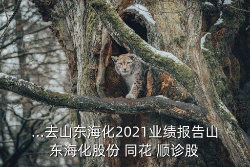 ...去山東海化2021業(yè)績(jī)報(bào)告山東?；煞?同花 順診股