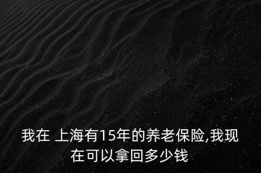 我在 上海有15年的養(yǎng)老保險,我現在可以拿回多少錢