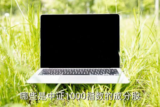 哪些是中證1000指數(shù)的成分股