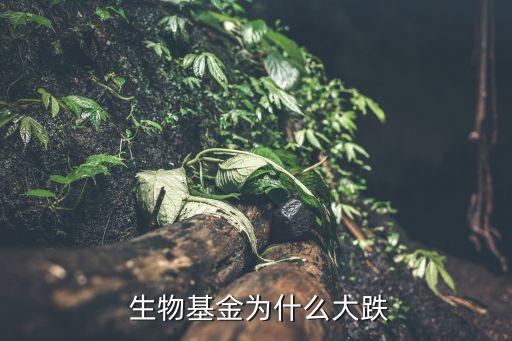 廣發(fā)生物科技股票市場,廣發(fā)納斯達克生物科技QDII