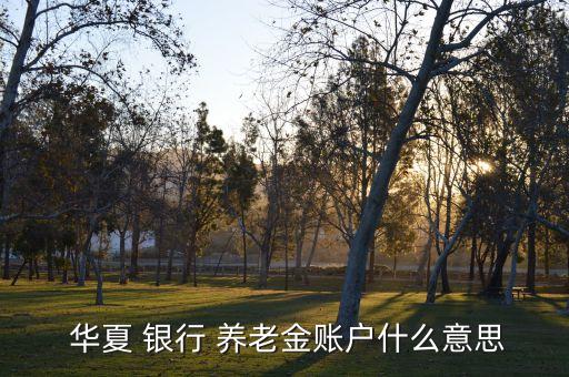 銀行華夏養(yǎng)老保險(xiǎn)a,華夏養(yǎng)老保險(xiǎn)怎么樣,什么時(shí)候可以領(lǐng)取