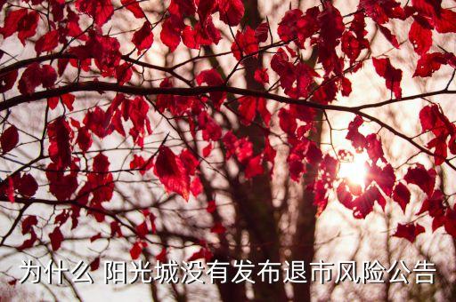 為什么 陽(yáng)光城沒(méi)有發(fā)布退市風(fēng)險(xiǎn)公告