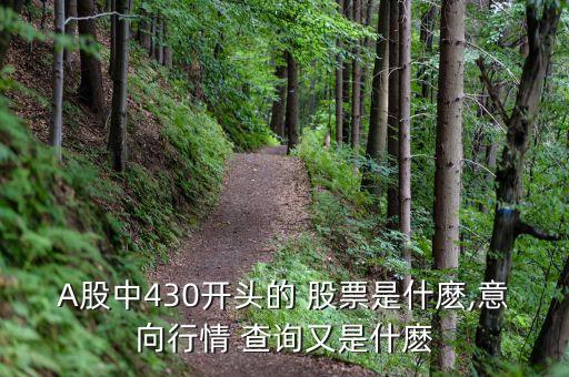 A股中430開(kāi)頭的 股票是什麼,意向行情 查詢(xún)又是什麼