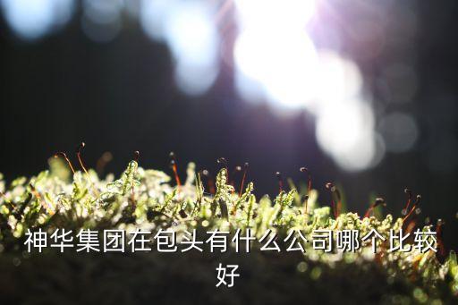  神華集團在包頭有什么公司哪個比較好