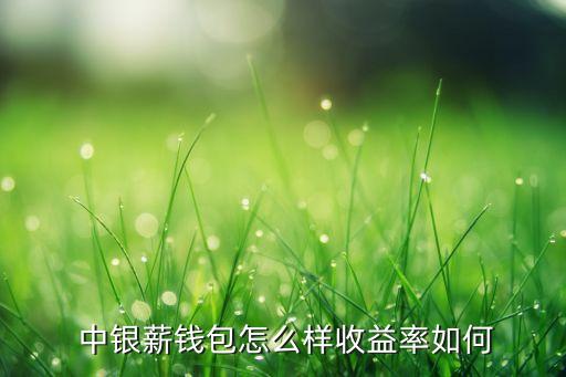  中銀薪錢(qián)包怎么樣收益率如何