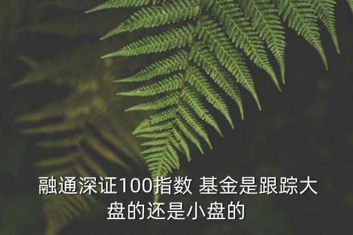  融通深證100指數(shù) 基金是跟蹤大盤(pán)的還是小盤(pán)的