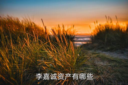  李嘉誠資產(chǎn)有哪些