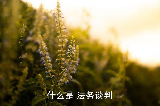 什么是 法務(wù)談判