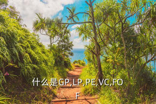 什么是GP,LP,PE,VC,FOF