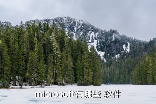 microsoft有哪些 軟件