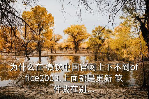 為什么在 微軟中國(guó)官網(wǎng)上下不到office2003,上面都是更新 軟件我在別...