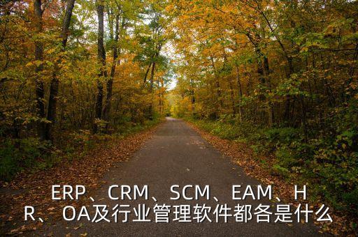 ERP、CRM、SCM、EAM、HR、 OA及行業(yè)管理軟件都各是什么