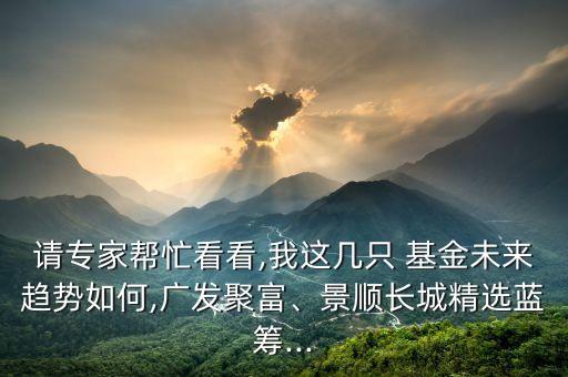 請專家?guī)兔纯?我這幾只 基金未來趨勢如何,廣發(fā)聚富、景順長城精選藍(lán)籌...