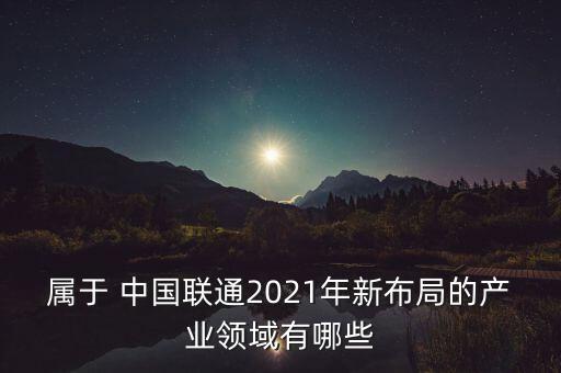 屬于 中國聯(lián)通2021年新布局的產(chǎn)業(yè)領(lǐng)域有哪些